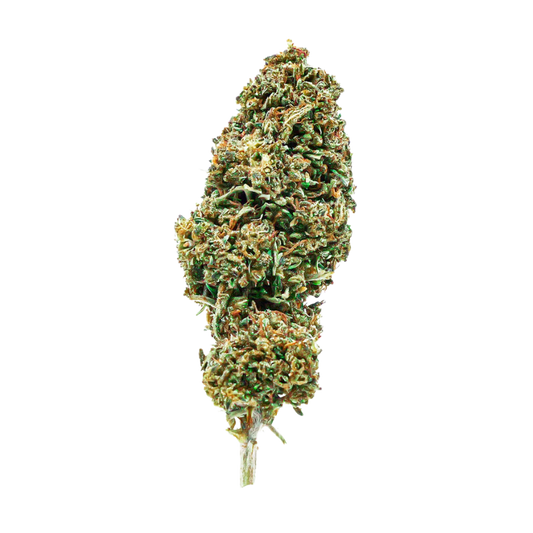 ORANGE BUD