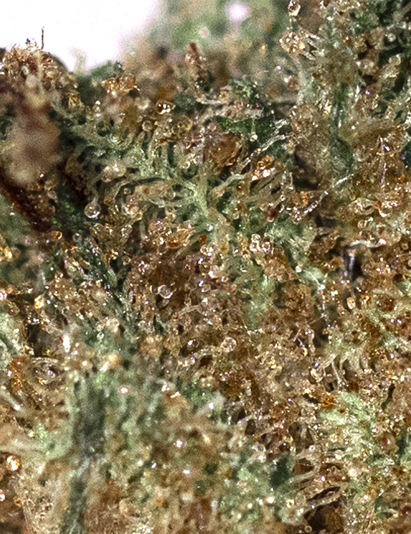 AK-47